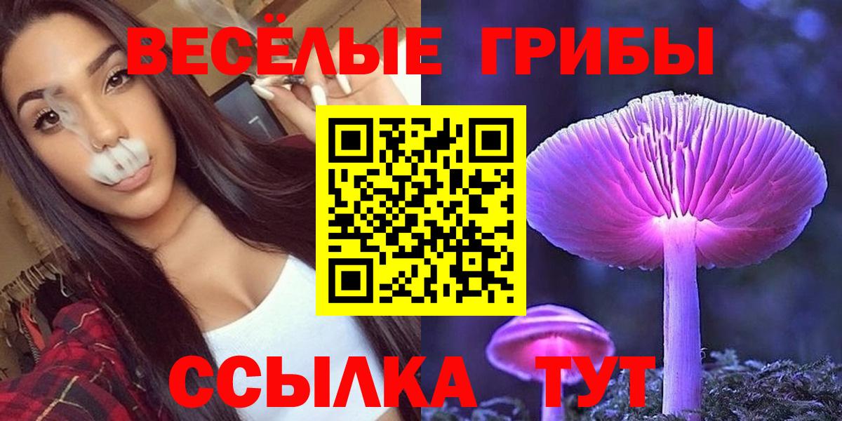 Кисловодск  Галлюциногенные грибы MAGIC MUSHROOMS  Вход с VPN 