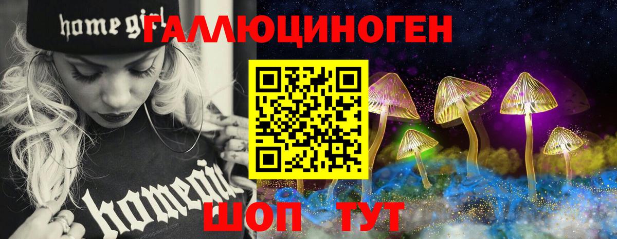 Галлюциногенные грибы Psilocybe Кисловодск